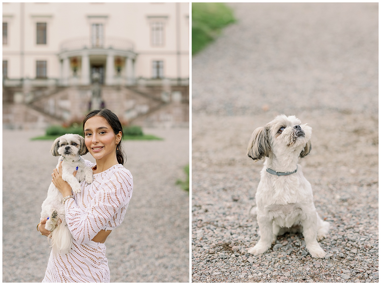 Förlovningsfotografering Rosersbergs slott tillsammans med hundar